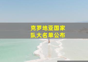 克罗地亚国家队大名单公布