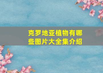 克罗地亚植物有哪些图片大全集介绍