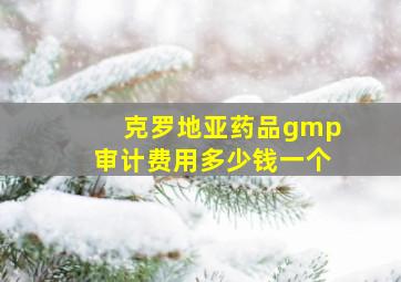 克罗地亚药品gmp审计费用多少钱一个