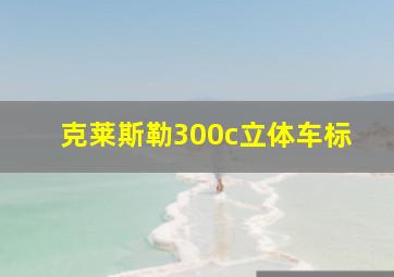 克莱斯勒300c立体车标