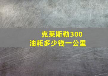 克莱斯勒300油耗多少钱一公里