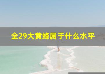 全29大黄蜂属于什么水平