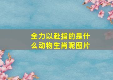 全力以赴指的是什么动物生肖呢图片