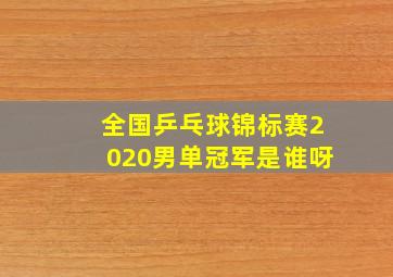 全国乒乓球锦标赛2020男单冠军是谁呀