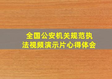 全国公安机关规范执法视频演示片心得体会