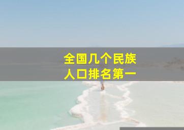 全国几个民族人口排名第一