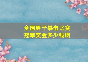 全国男子拳击比赛冠军奖金多少钱啊