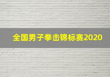 全国男子拳击锦标赛2020