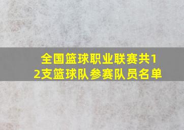 全国篮球职业联赛共12支篮球队参赛队员名单