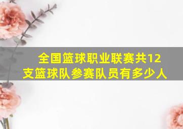 全国篮球职业联赛共12支篮球队参赛队员有多少人