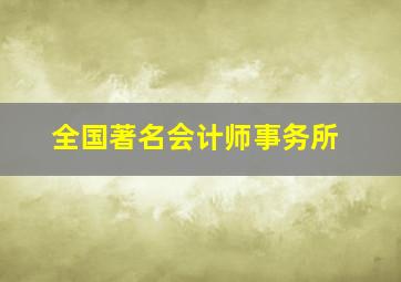 全国著名会计师事务所