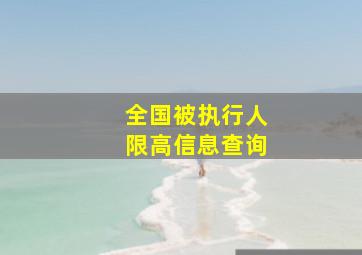 全国被执行人限高信息查询