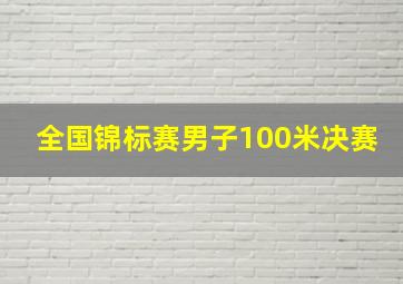 全国锦标赛男子100米决赛