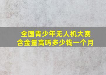 全国青少年无人机大赛含金量高吗多少钱一个月