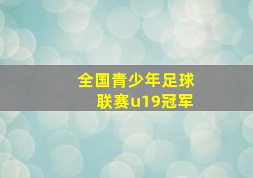 全国青少年足球联赛u19冠军