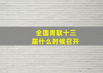 全国青联十三届什么时候召开