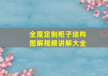 全屋定制柜子结构图解视频讲解大全