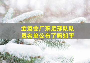 全运会广东足球队队员名单公布了吗知乎