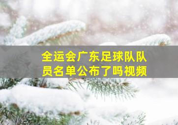 全运会广东足球队队员名单公布了吗视频