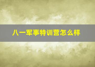 八一军事特训营怎么样