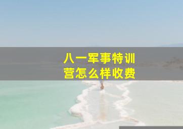 八一军事特训营怎么样收费