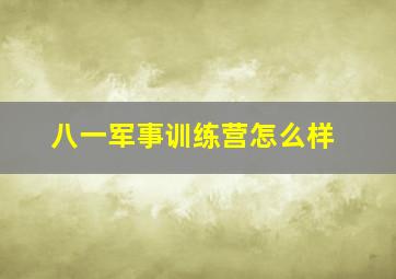 八一军事训练营怎么样