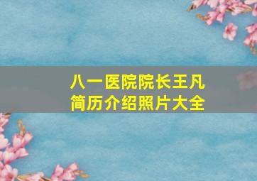 八一医院院长王凡简历介绍照片大全