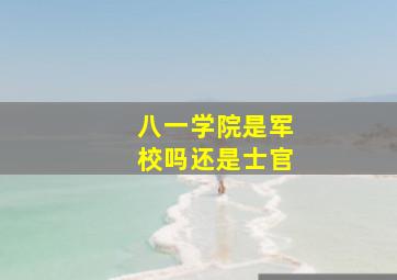 八一学院是军校吗还是士官