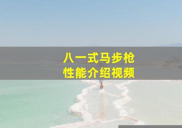 八一式马步枪性能介绍视频