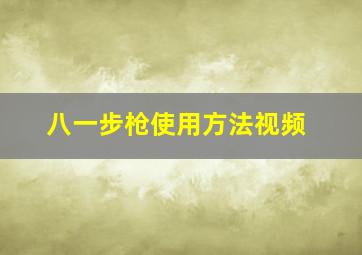 八一步枪使用方法视频