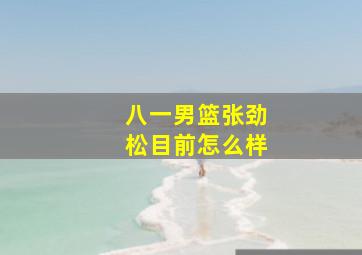 八一男篮张劲松目前怎么样