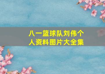 八一篮球队刘伟个人资料图片大全集