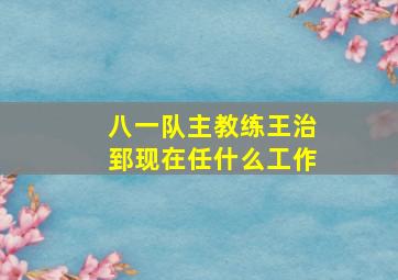 八一队主教练王治郅现在任什么工作