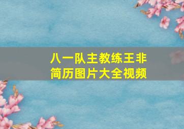 八一队主教练王非简历图片大全视频