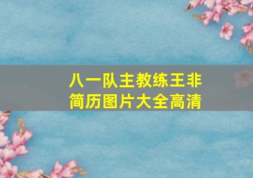 八一队主教练王非简历图片大全高清