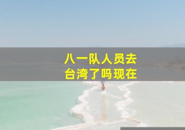 八一队人员去台湾了吗现在