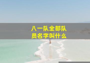 八一队全部队员名字叫什么