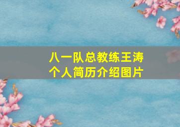 八一队总教练王涛个人简历介绍图片