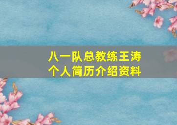 八一队总教练王涛个人简历介绍资料