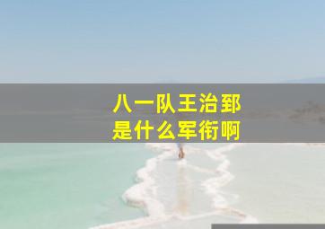 八一队王治郅是什么军衔啊