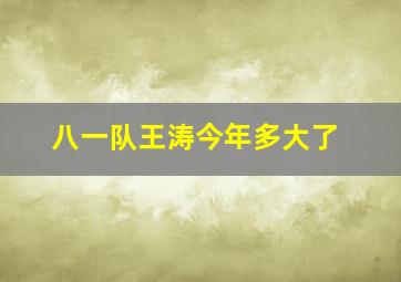 八一队王涛今年多大了