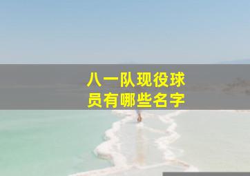 八一队现役球员有哪些名字