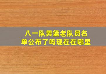 八一队男篮老队员名单公布了吗现在在哪里