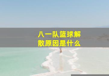 八一队篮球解散原因是什么