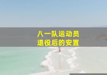 八一队运动员退役后的安置