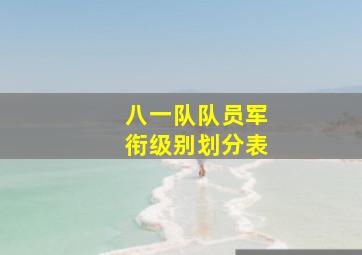 八一队队员军衔级别划分表