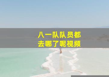 八一队队员都去哪了呢视频