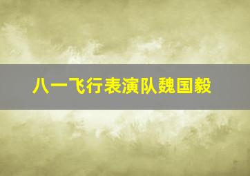 八一飞行表演队魏国毅