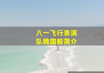 八一飞行表演队魏国毅简介