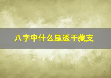 八字中什么是透干藏支